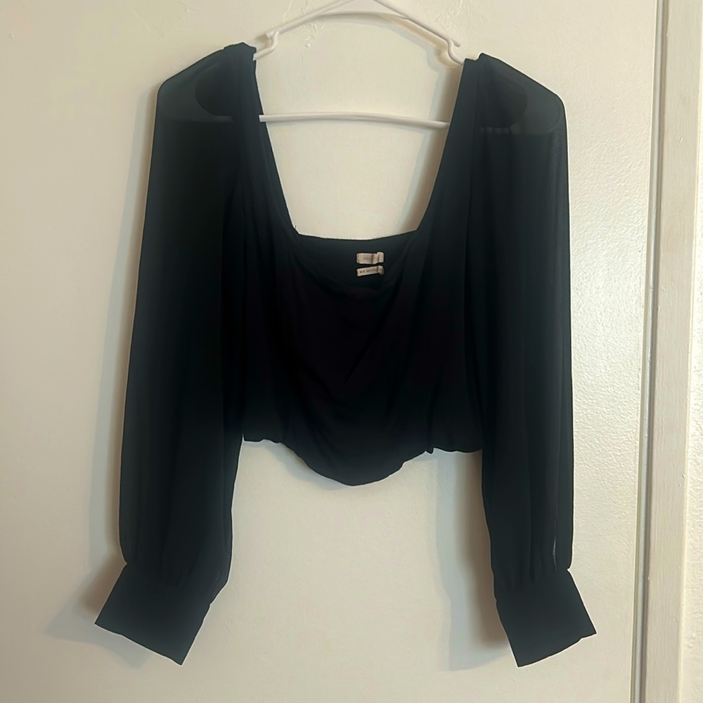 Urban Outfitters Black Sheer Long Sleeve Cropped Top